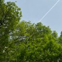 VHS тьютор - Показ (Original Mix)