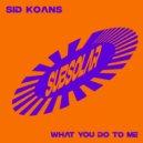 Sid Koans - What You Do To Me (Original Mix)