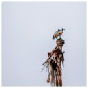 Theny - Daybreak