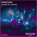 Photom - Temple of Vibrate