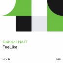 Gabriel NAIT - FeeLike (Radio Edit)