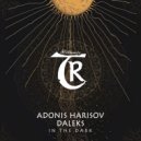 Adonis Harisov - In the Dark (Original Dub Mix)