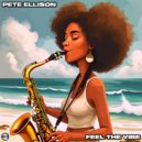 Pete Ellison - Feel The Vibe (Original Mix)
