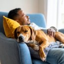 Ecos Tranquilos & Melodas Serenas & Noches Acogedoras - Melodas Lofi De Calma Para Perros