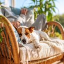 Pasin por Viajar & Vibraciones Vintage & Paisajes Sonoros Relajantes - Melodas Tranquilas De Lofi Para Mascotas Relajadas