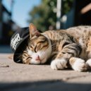 Music For Rehoming Cats & Music for your Cat & Nature Music for Cats - Hip Hop Cats Peace
