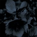Beroshima - This Could Be