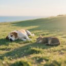 Pet Music Collection & Sunday Morning Music & Music for Dogs Prime - Gentle Lofi Pet Tunes