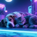 X-Ray Dog Music & Canine Sounds & Music for dog's joys - Chill Dogs Sleep Beats