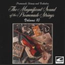 Promenade Strings and Orchestra - Overture ()