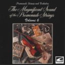 Promenade Strings and Orchestra - Forever and Ever