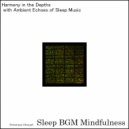 Sleep BGM Mindfulness - Deep Dive into Mindful Resonance (Original Mix)