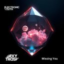 Electronic Youth - Missing You (Extended Mix)