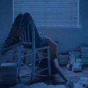 Robynson Le Tissier - a fathers lense ()