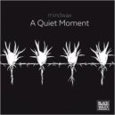mindwax - A Quiet Moment ()