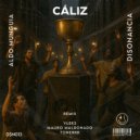 Aldo Munguia - CÁLIZ (Vleks Remix)