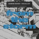 Amine Edge, Aguilar (Italy) - From The Storm (Original Mix)