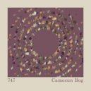 747 - Camosun Bog (Original Mix)