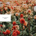 birø & Skyknock - Bloom (Original Mix)