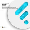Proyal - Digital Destiny (Original Mix)