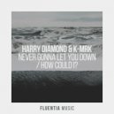 Harry Diamond & K-MRK - Never Gonna Let You Down