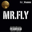 Fly_Warrior - Go (Remastered)