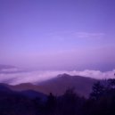 Organic Prizmo - Flashback ()