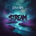 Salvador Nettles - Stream (Original Mix)