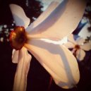 Trapeznikov music - Flowers of tenderness ()