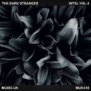 The Dark Stranger - Numb (Original Mix)
