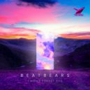 Beatbears - I Won\'t Forget You (Original Mix)