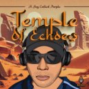 A Guy Called Purple - Temple Of Echoes