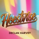 Declan Harvey - Hoestvise (Original Mix)