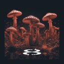 Mushr8ms0ul - Mushroom soul ()