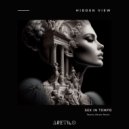 Hidden View - Sex In Tempo (Stanny Abram Remix)
