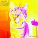 Ceri Evans - Polaroidz Synth Angel A Capella (Original Mix)
