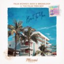 Palm Monkey, Boix & Breakloop & The Palm Tree Boy - Back To You (Original Mix)
