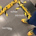 Intrinzic - Echos ()