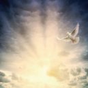 Osc Project - letter to heaven