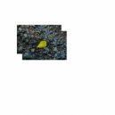 delited - many changes ()