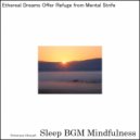 Sleep BGM Mindfulness - Nature\'s Lullaby for Deep Sleep and Mental Harmony (Original Mix)