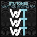 Stu Tones - What You Waiting For (Original Mix)
