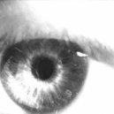 14CXLD - Белых линий ()