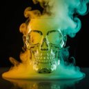 Yellow Flamingo - I\'ll Steal You ()