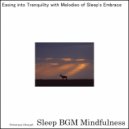 Sleep BGM Mindfulness - Nurturing Dreams with Sounds of Deep Relaxation and Rest (Original Mix)