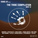 Ricardo Demazzo - Space Groover