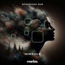 Spacefunk Dub - Miracle