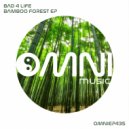 Bad 4 Life - Stargazing (Original Mix)