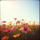 Vanderli - A compliment — just a trifle, a spark (Original Mix)