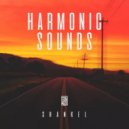 Artem Shankel, PROGRAMIQA - Harmonic Sounds 111 ()